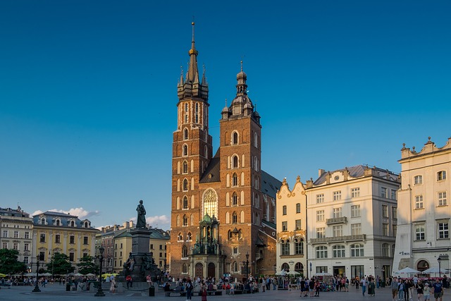 Najlepsze usługi koparką w Krakowie: precyzja, terminowość i konkurencyjne ceny